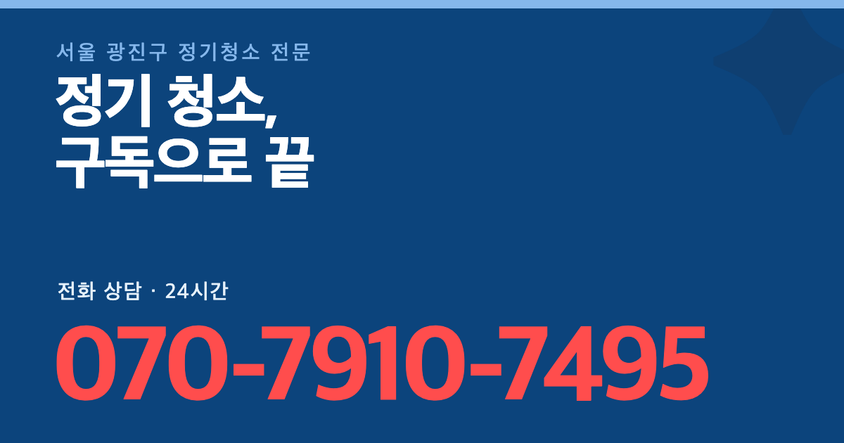 서울 광진구 정기청소 대표